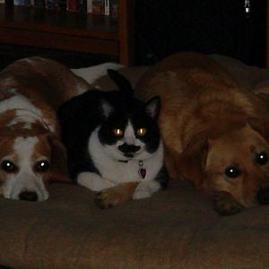 Meet your Posher, Lori